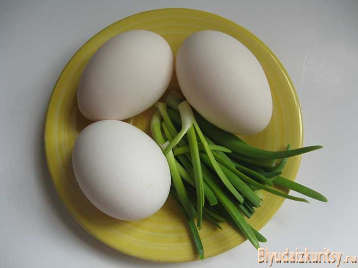 Что нужно знать о куриных яйцах?